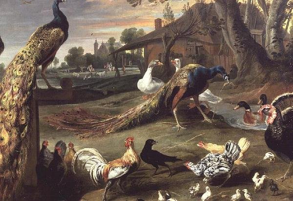 O Pavão e outras Aves numa Paisagem de Jan Victors