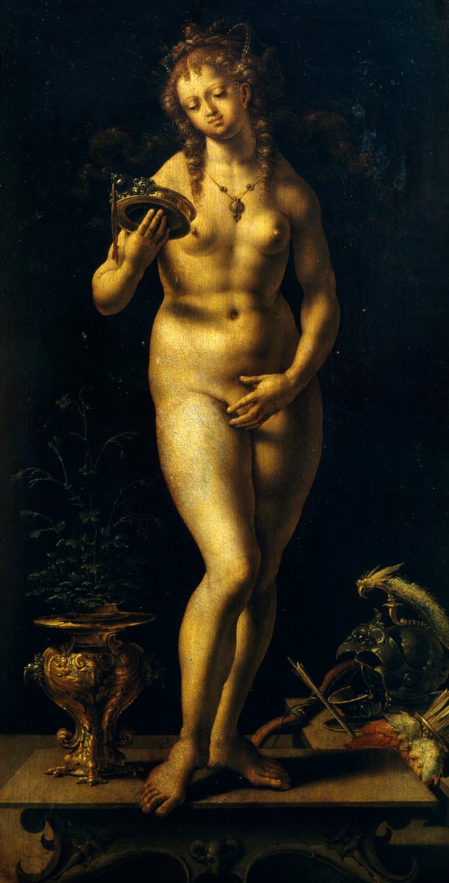 Vénus (óleo sobre painel) de Jan (c.1472 c.1533) Gossaert