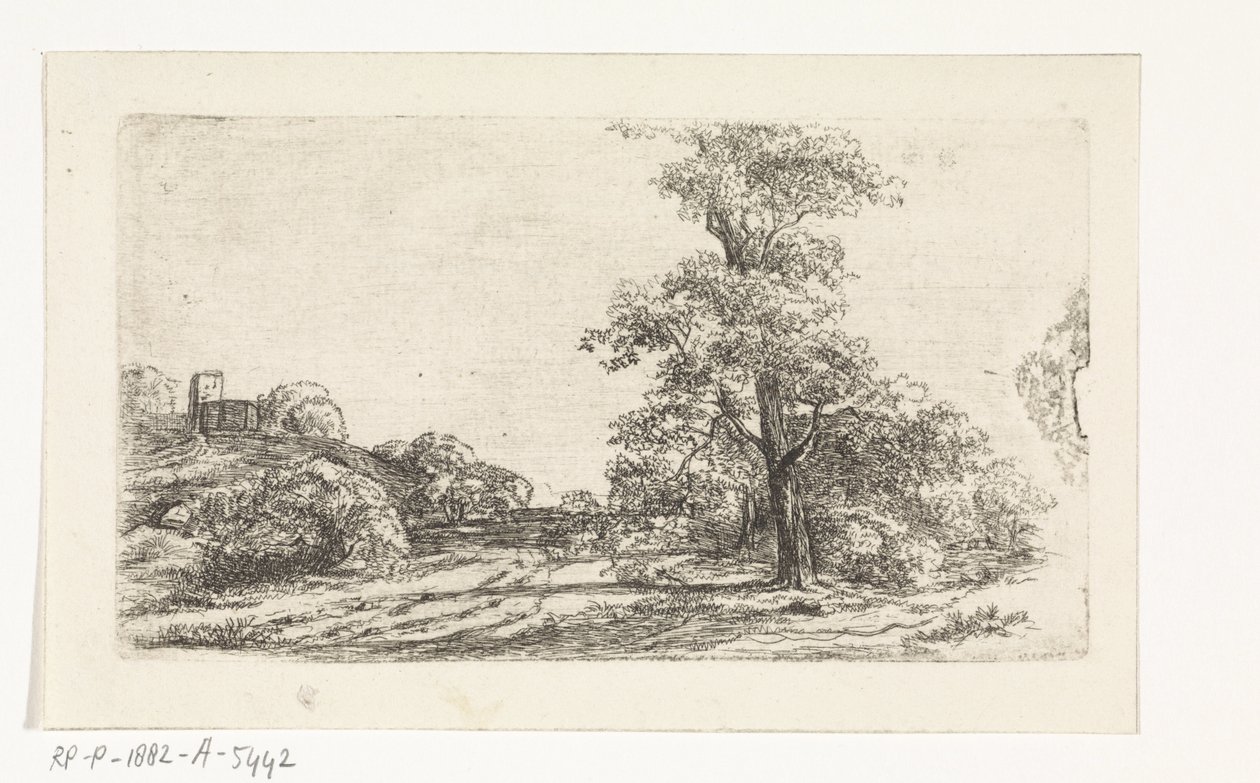 Paisagem com uma árvore de Jan Andries Töpfer