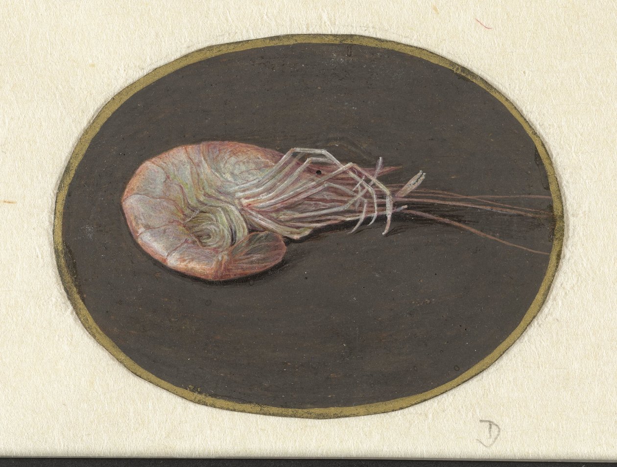 Camarão Animais (título da série) de Jan Augustin van der Goes