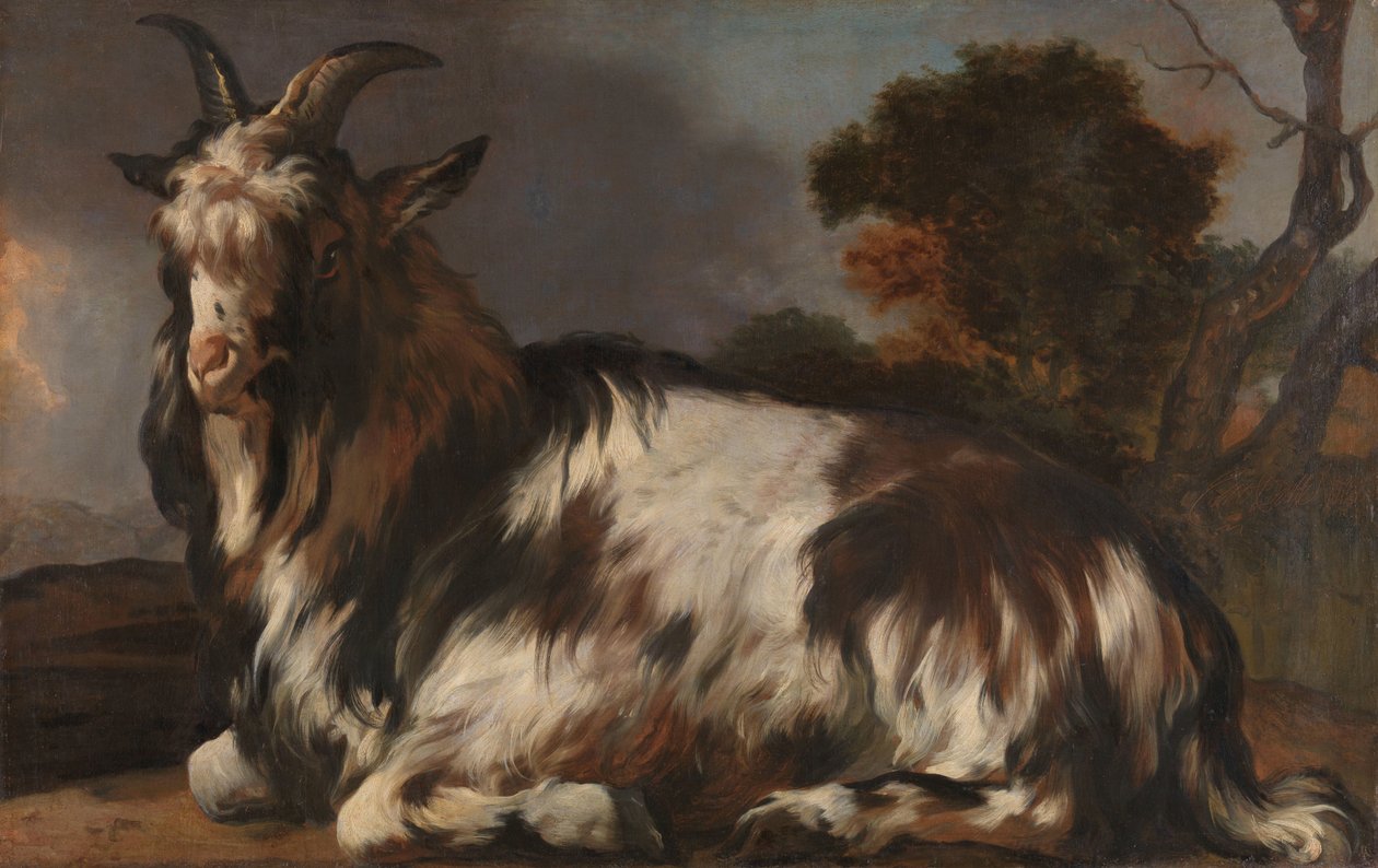 Cabra deitada de Jan Baptist Weenix