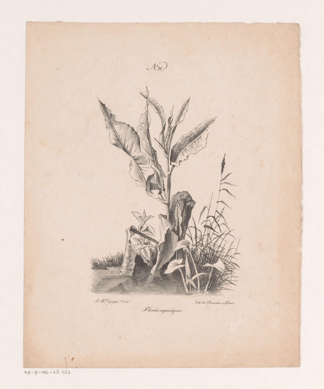 Waterplanten
Plantas aquáticas (título sobre o objecto)
Princípios de paisagens tiradas da natureza e executadas em pedra (título da série) de Jan Baptiste de Jonghe