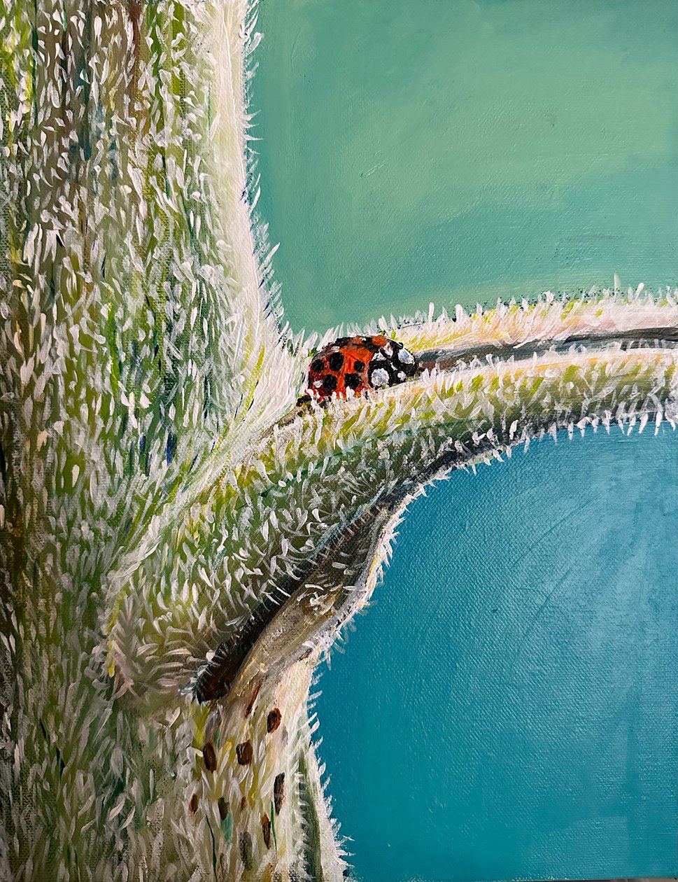 Fly Away Home, 2023 (acrílico sobre tela) de Jan Barzottini
