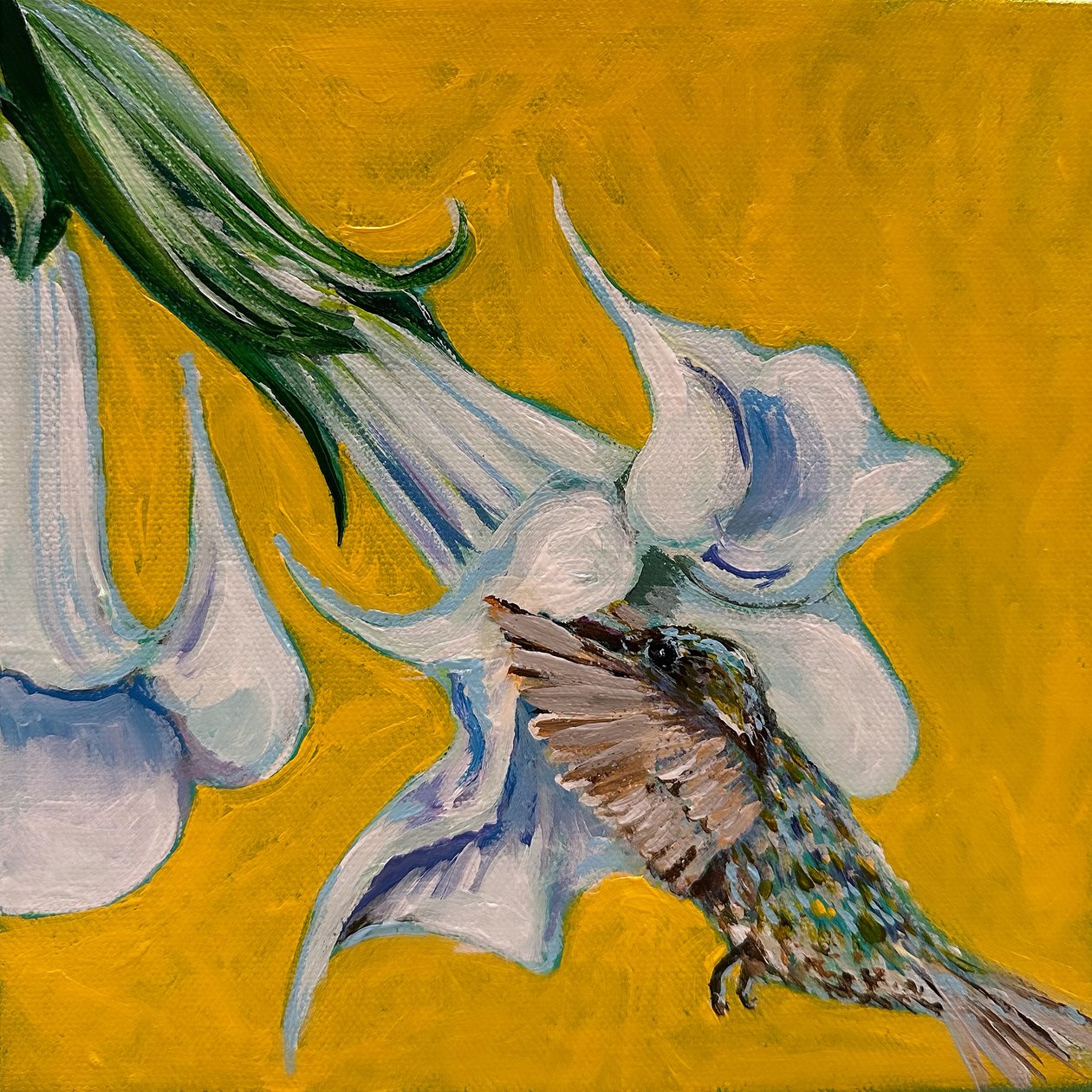 Beija-flor, 2023 (acrílico sobre tela) de Jan Barzottini