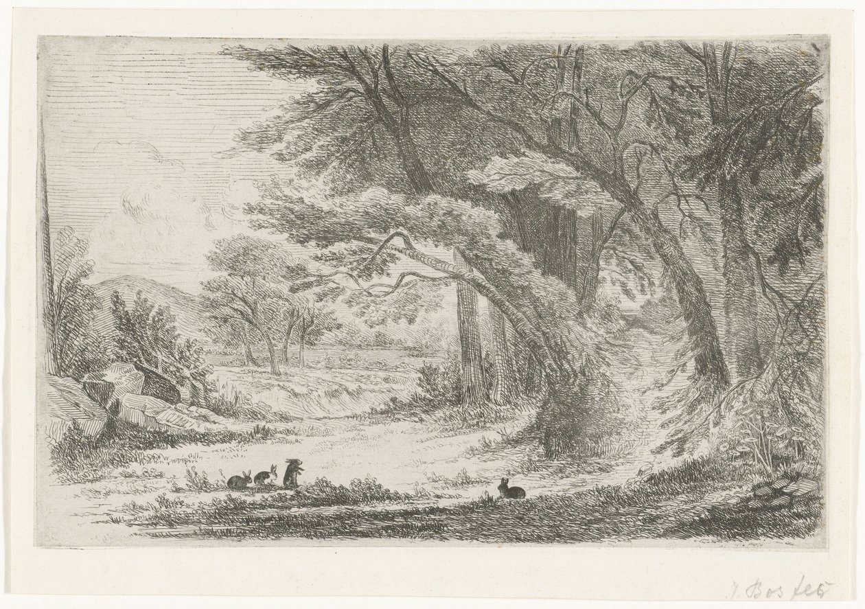 Borda da floresta com coelhos de Jan Bos Wz. (signed by artist)