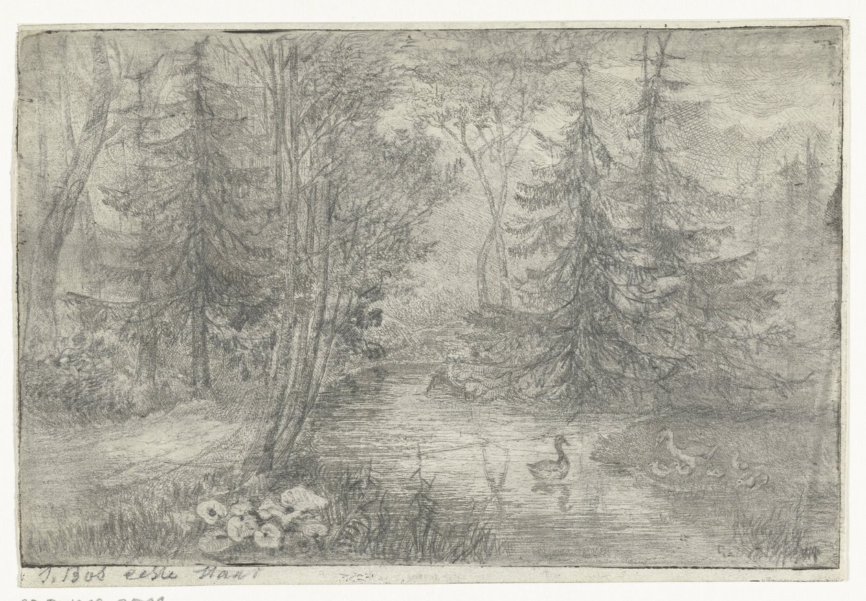 Lagoa da floresta com patos de Jan Bos Wz. (signed by artist)