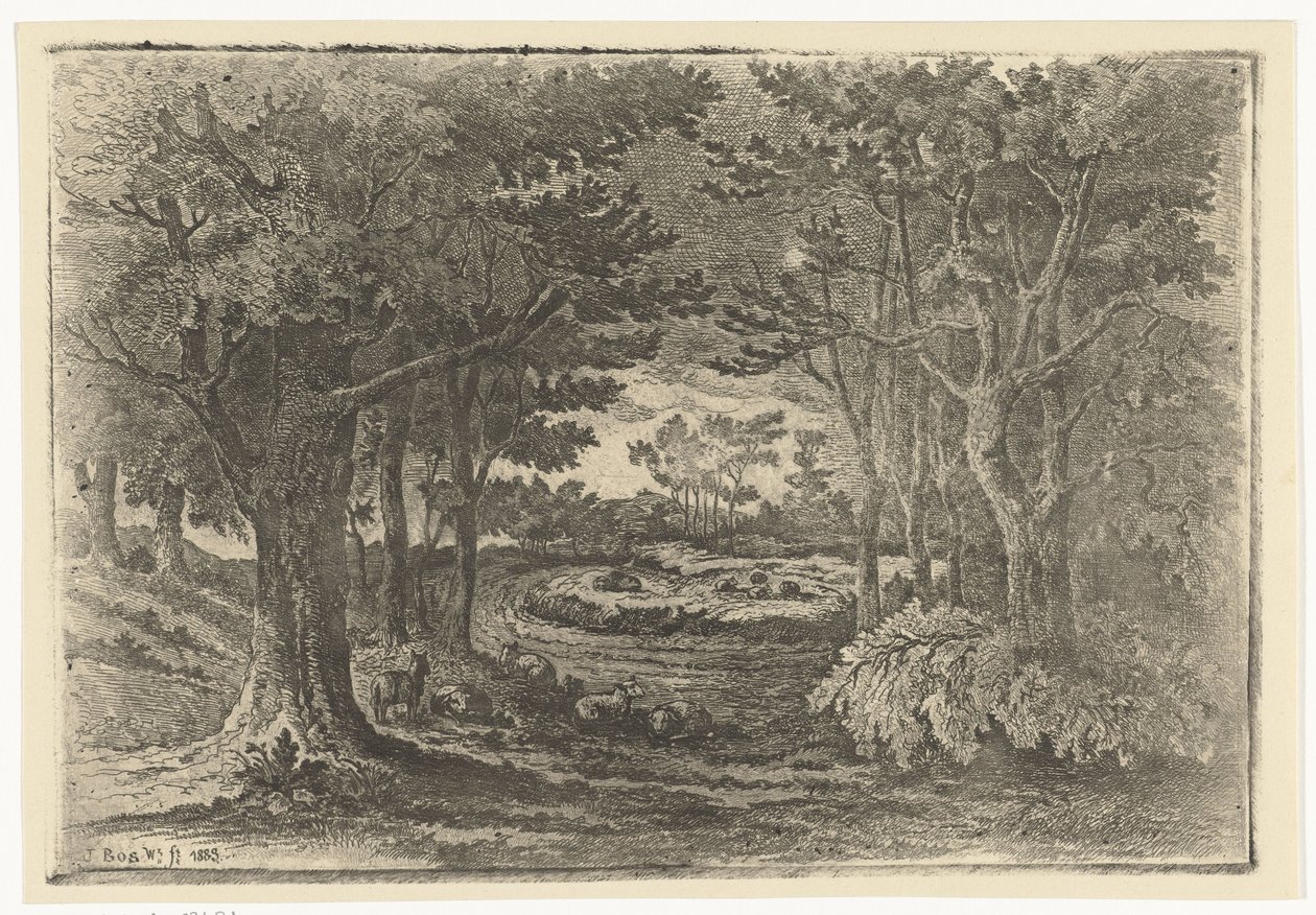 Paisagem da floresta com cinco ovelhas de Jan Bos Wz.