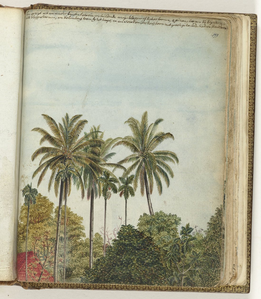 Vista da janela de Jan Brandes