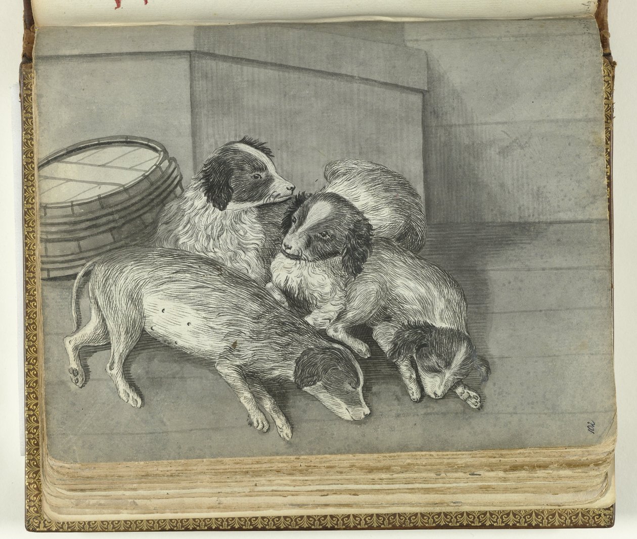 cães de Jan Brandes