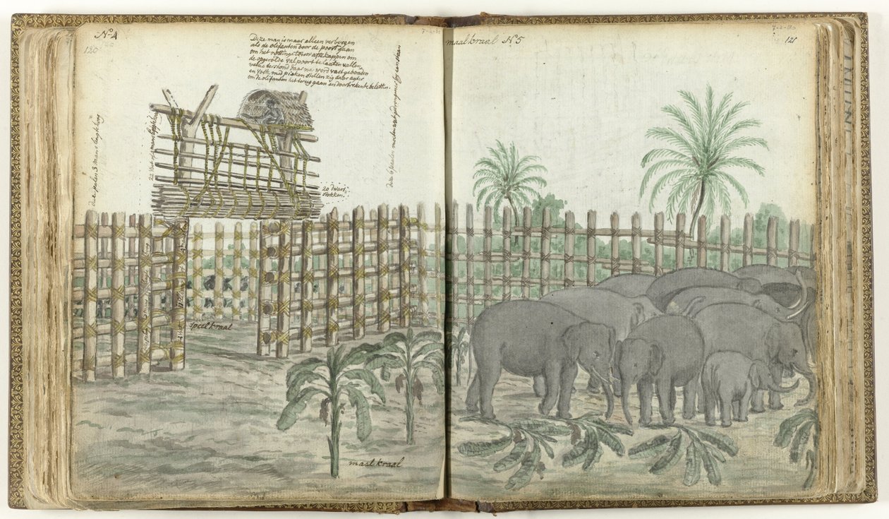 Brincadeira de elefante e miçangas de Jan Brandes