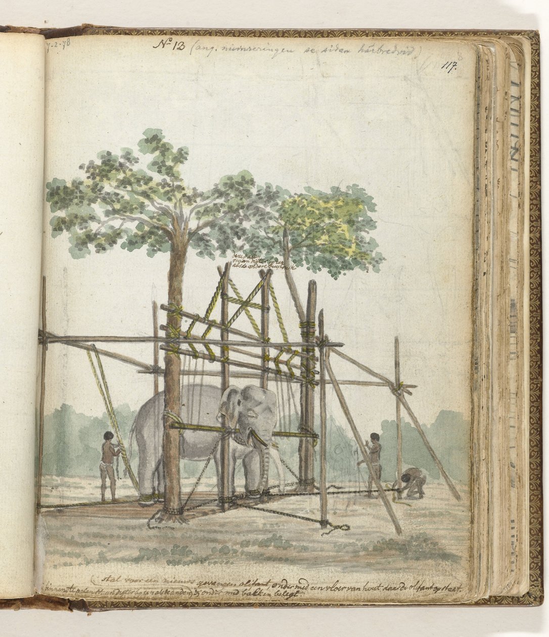 estábulo de elefante de Jan Brandes