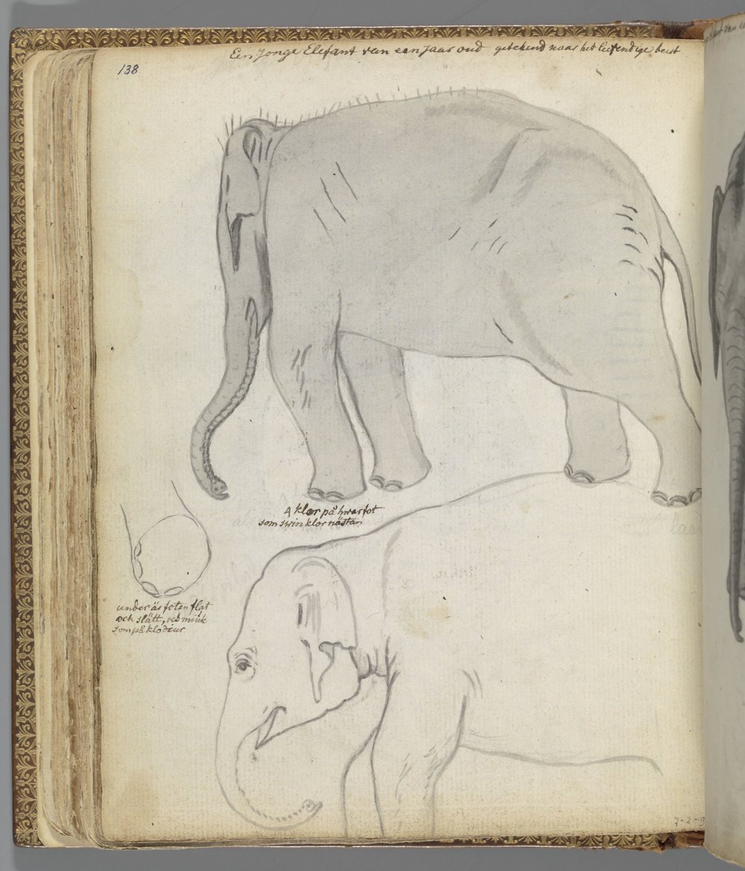 Perspectiva de três figuras de Jan Brandes