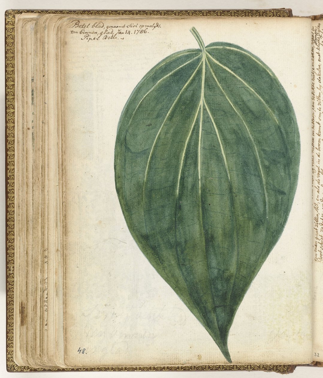 Betelblad de Jan Brandes