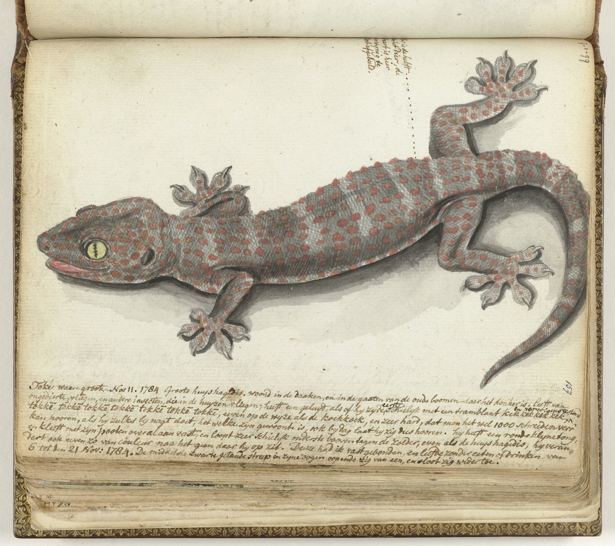 Tokeh de Jan Brandes