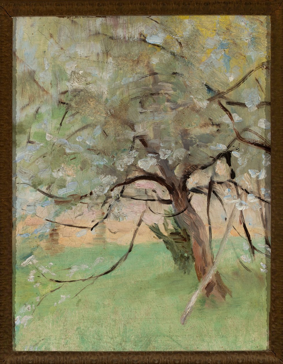 Macieira de Jan Ciągliński