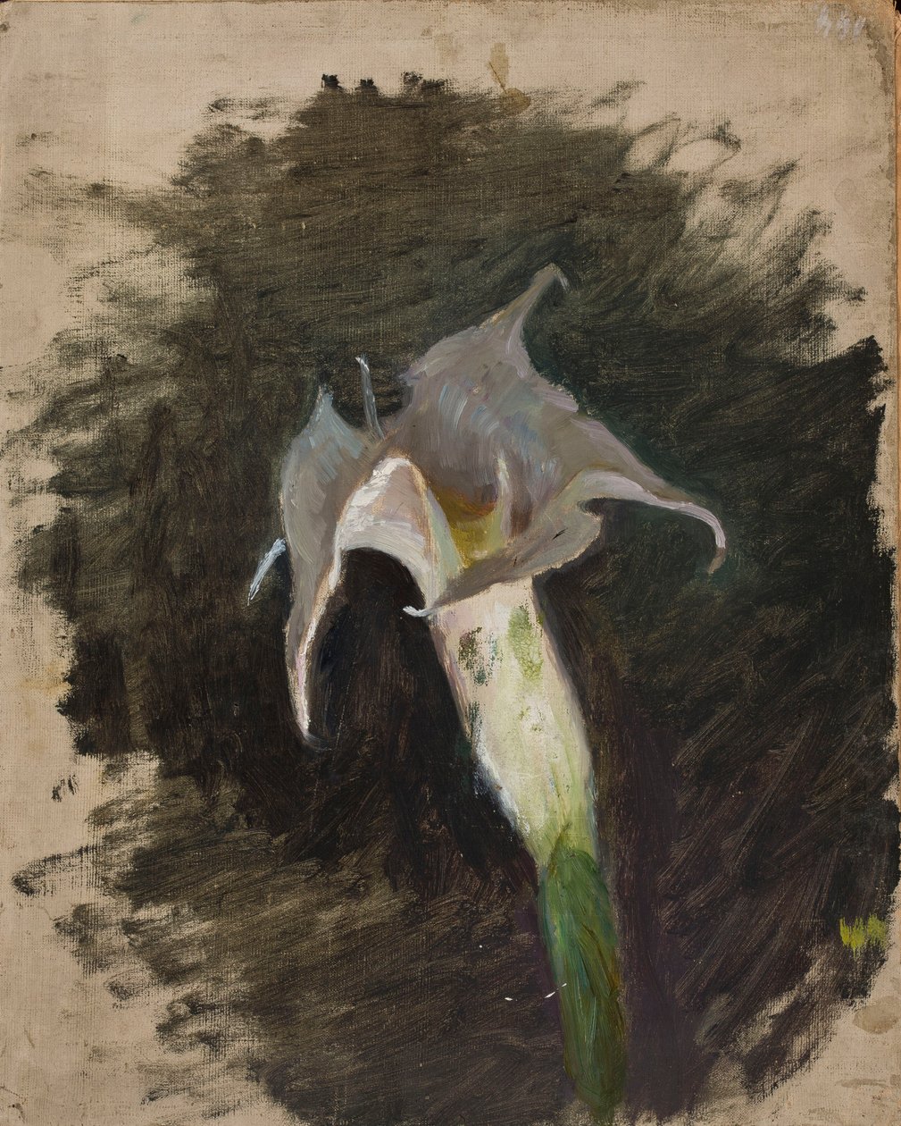 Flor de Jan Ciągliński