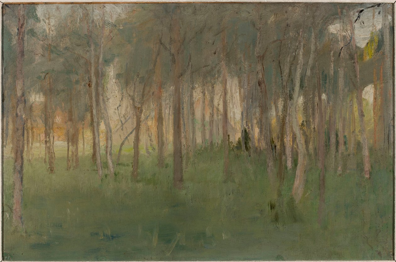 Marino - Bosque de Jan Ciągliński