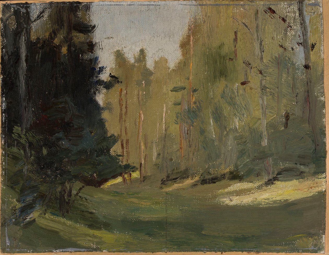 Mariino - Clareira na floresta de Jan Ciągliński