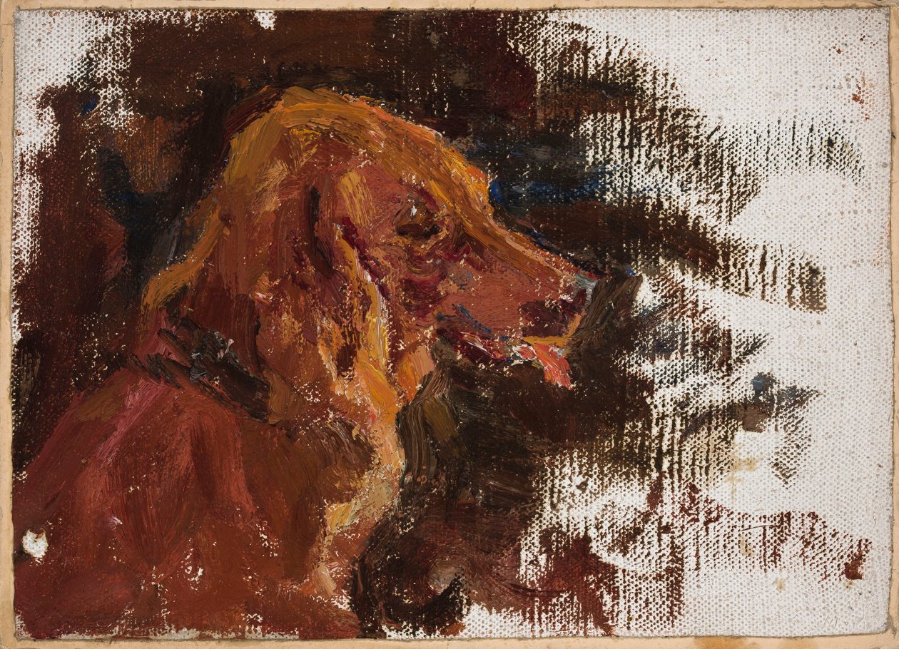 Mariino - Estudo da cabeça de um cão para o "Retrato do príncipe Golitsyn" de Jan Ciągliński