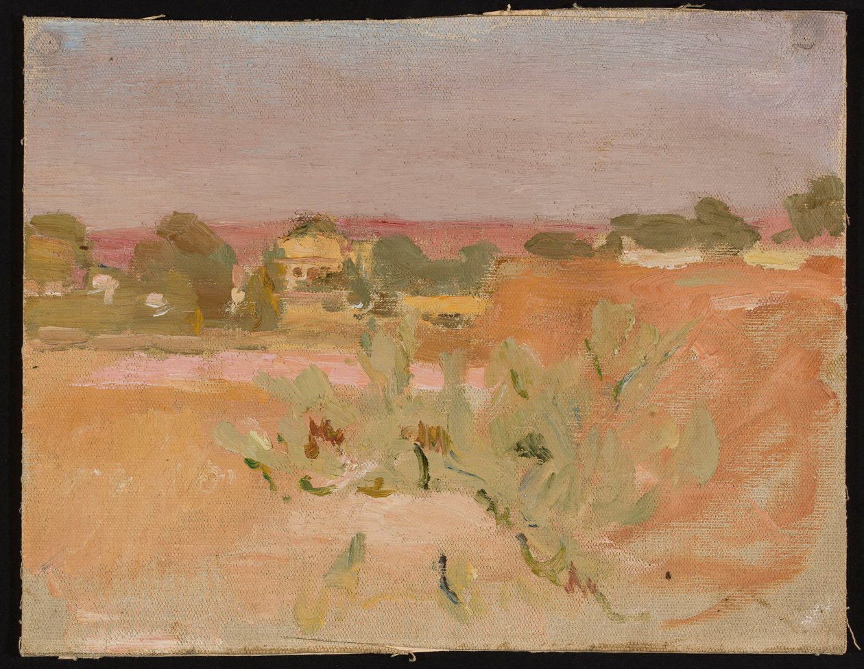 Rosa Landschaft mit Kakteen. Aus einer Reise nach Indien de Jan Ciągliński