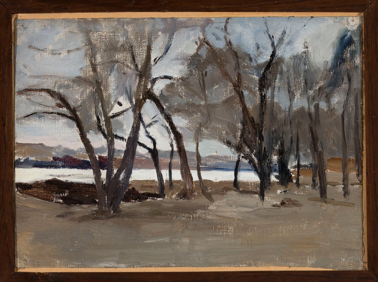 Paisagem de inverno - parque na ilha Petrovsky de Jan Ciągliński