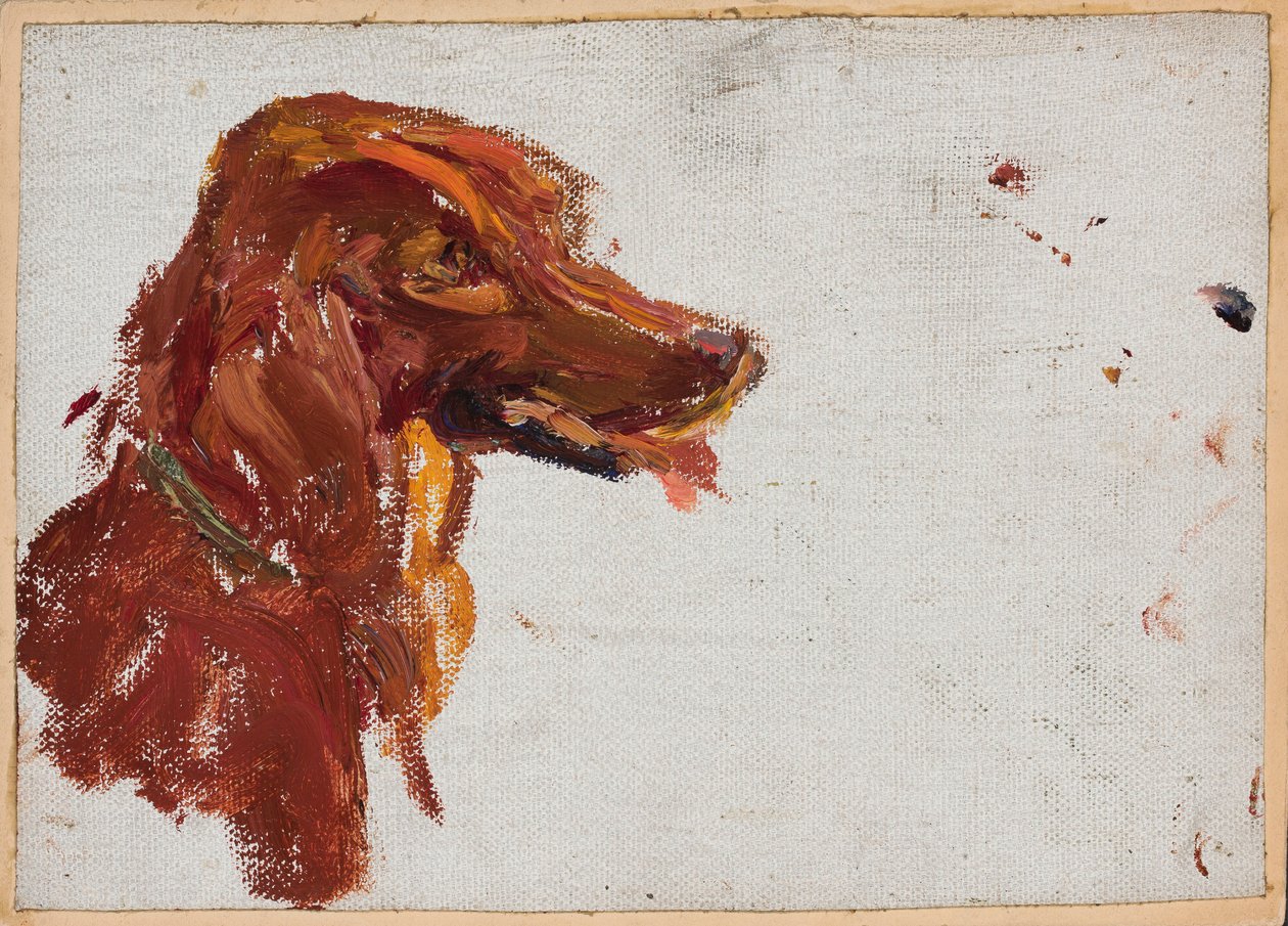 Estudo da cabeça do cão do padre Golitsyn. Marjino de Jan Ciągliński