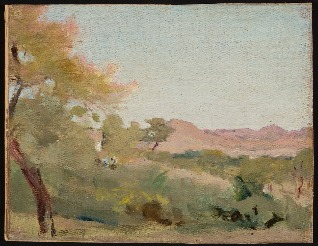 Udaipur - paisagem indiana. De uma viagem à Índia de Jan Ciągliński