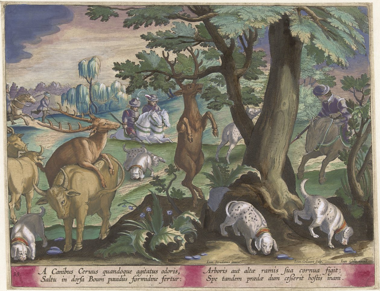 Caça ao veado com cães
Cenas de caça (título da série)
Venationes Ferarum, auium, piscium pvgnae Bestiariorum (título da série) de Jan Collaert