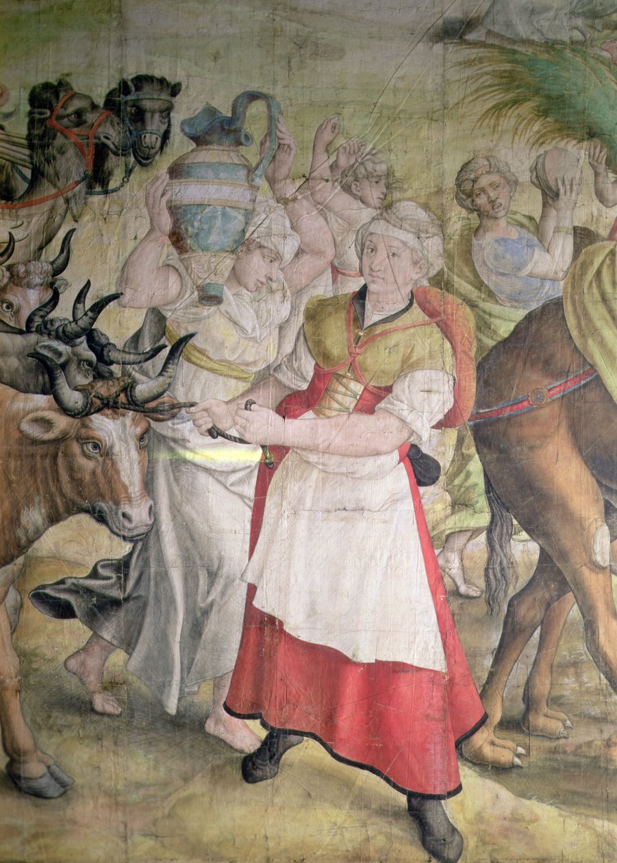 Campanha do Imperador Carlos V de Jan Cornelisz Vermeyen