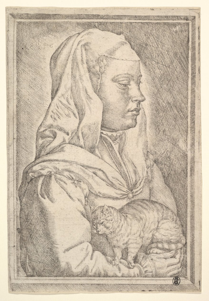 Menina com um gato, 1546. de Jan Cornelisz Vermeyen