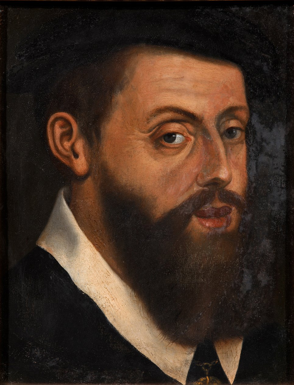 Retrato do imperador Carlos V 1500-1558 de Jan Cornelisz. Vermeyen