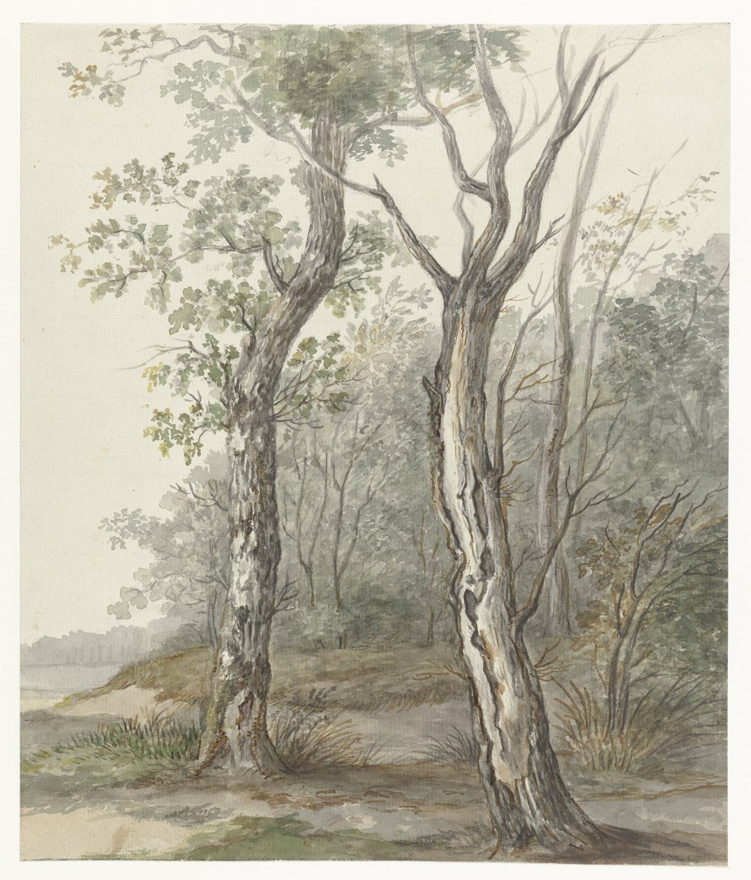 paisagem da floresta de Jan Dasveldt