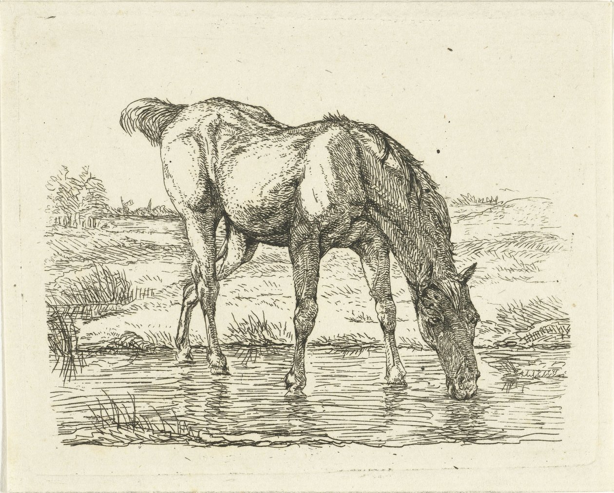 Cavalo para beber de Jan Dasveldt