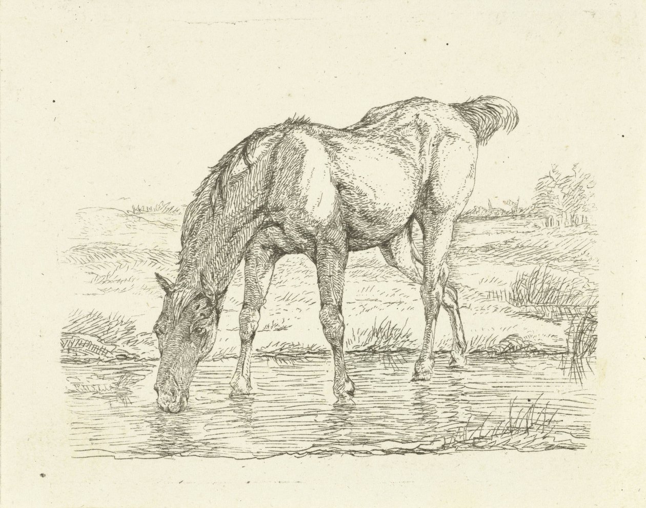 Cavalo para beber de Jan Dasveldt