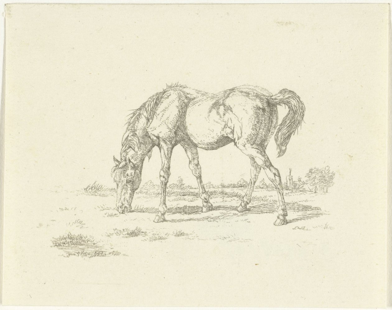 Cavalo pastando à direita de Jan Dasveldt