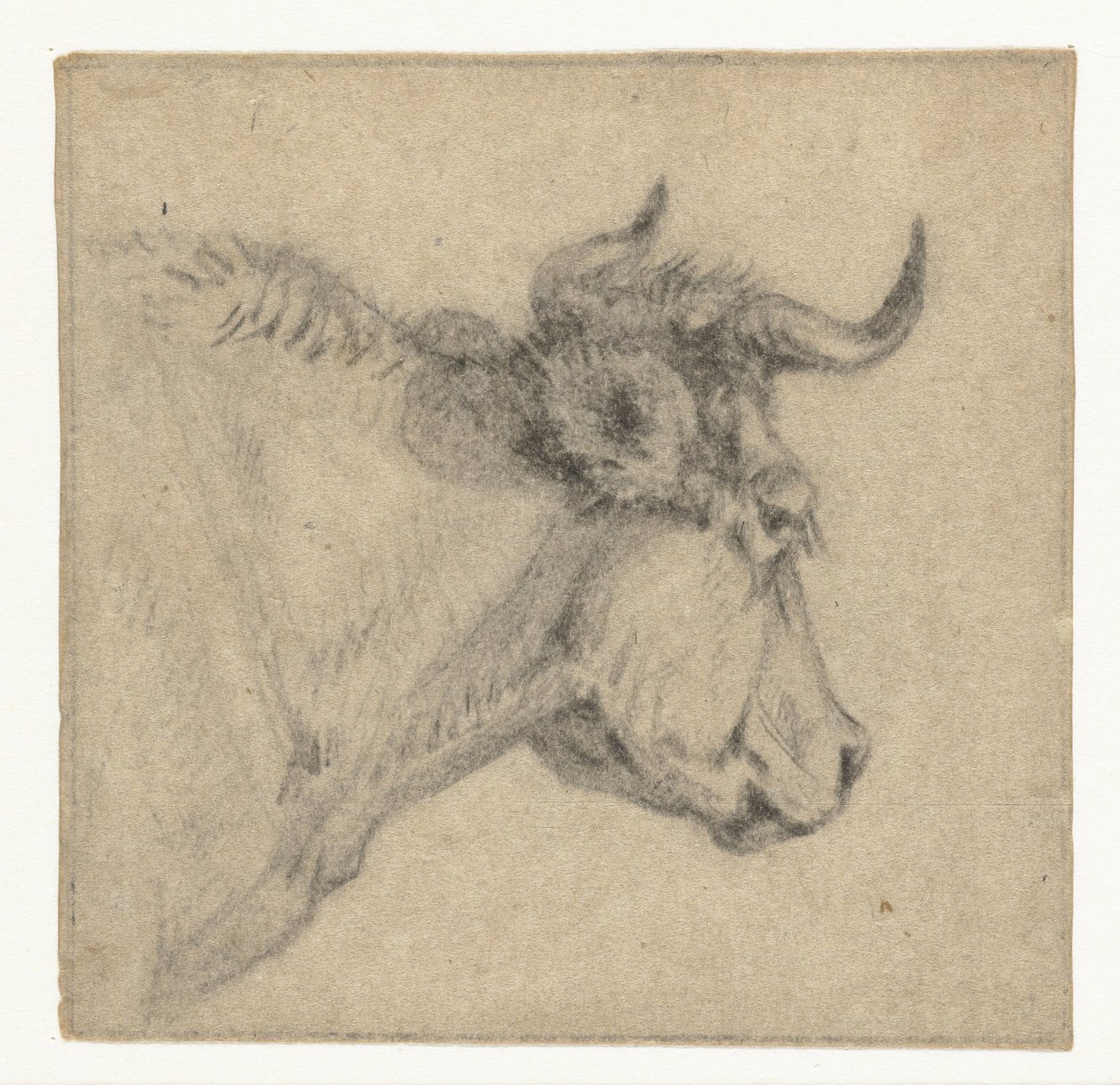 Roundhead de Jan Dasveldt