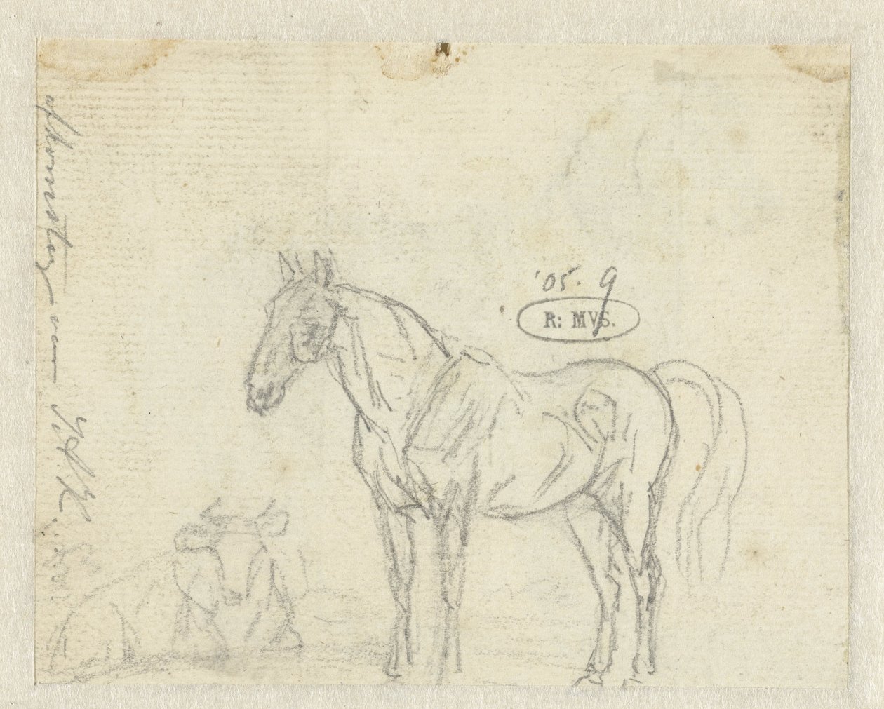 Esboço de um cavalo e vaca de Jan Dasveldt