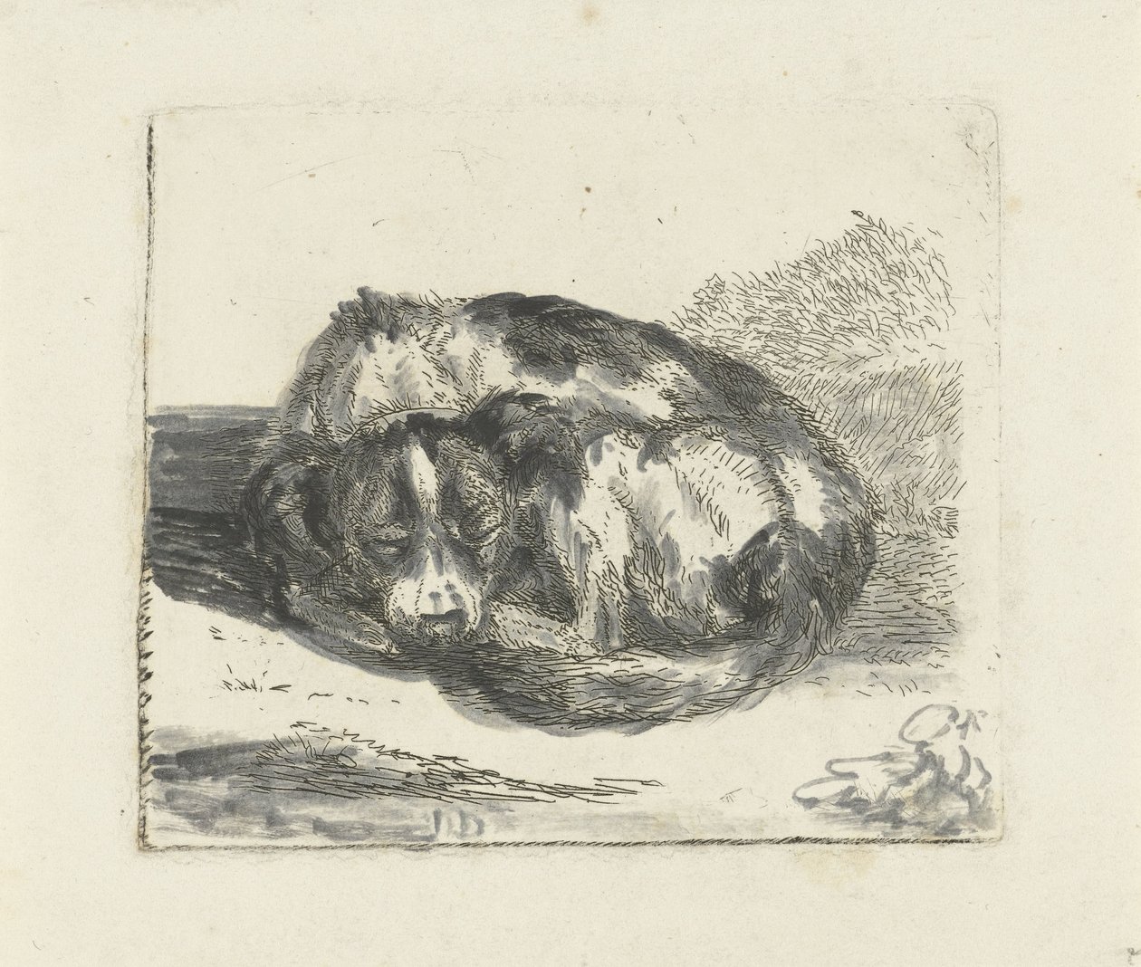 cachorro dormindo de Jan Dasveldt