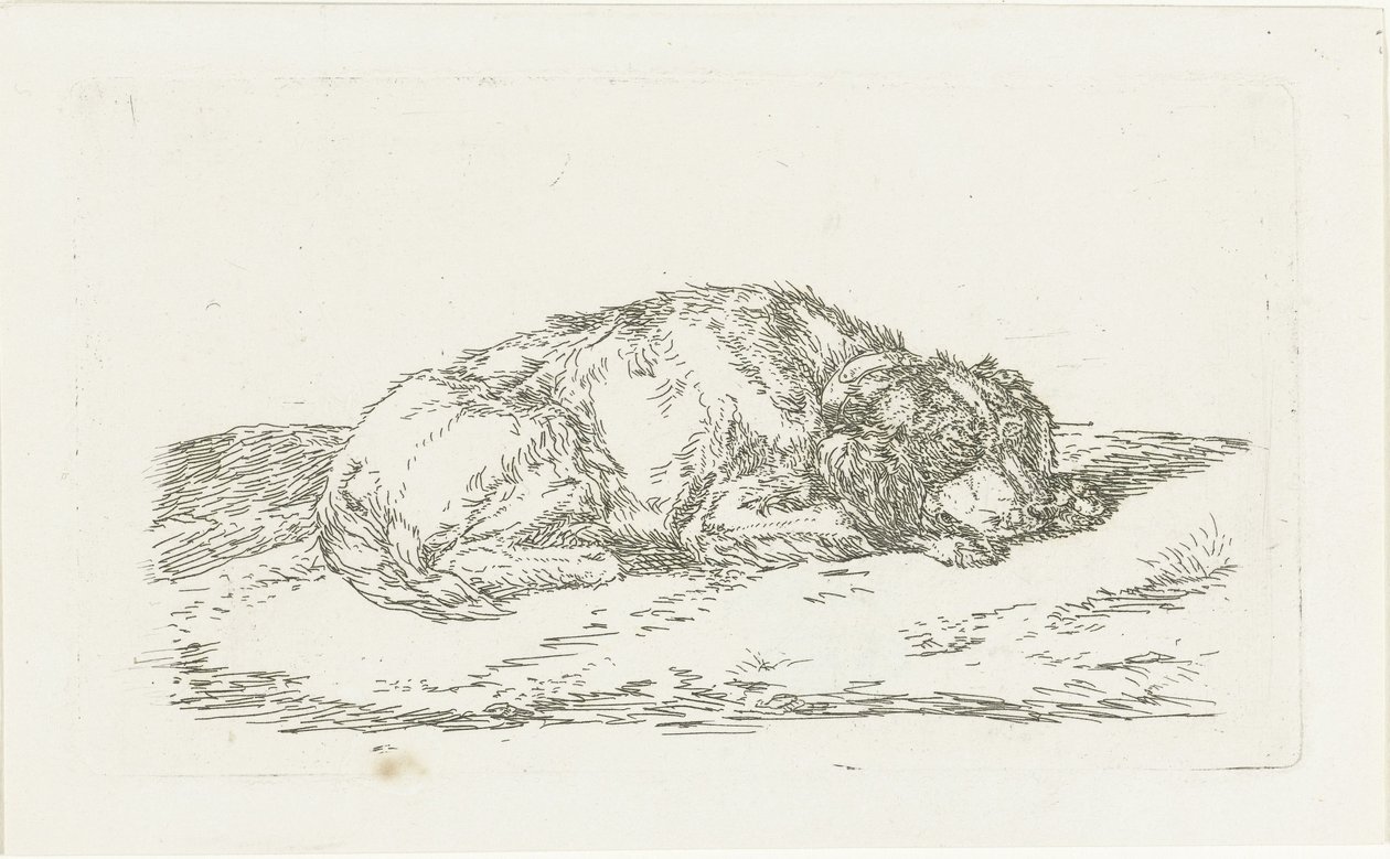 Cão dormindo com a cabeça apoiada nas patas dianteiras de Jan Dasveldt