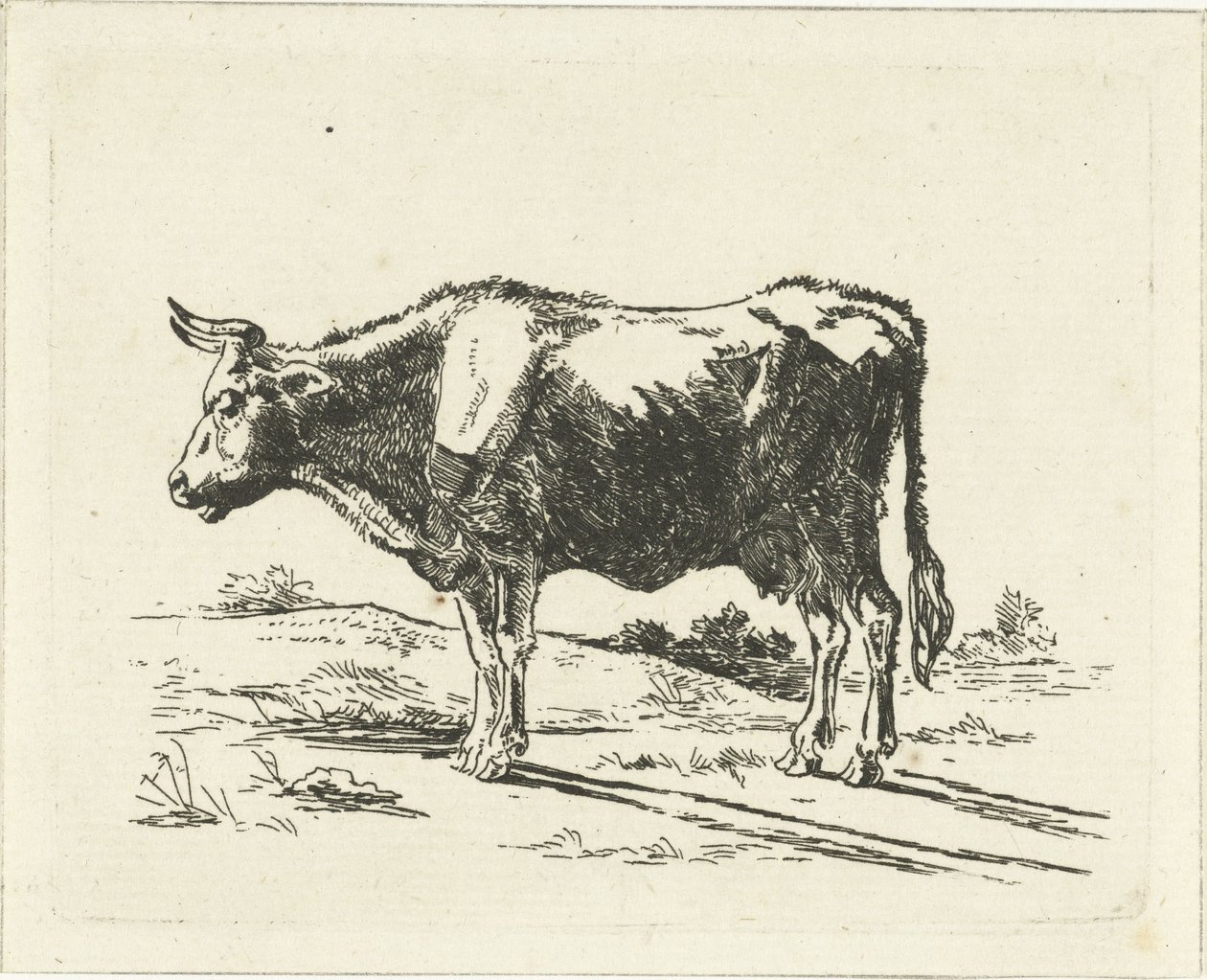 Vaca em pé de Jan Dasveldt