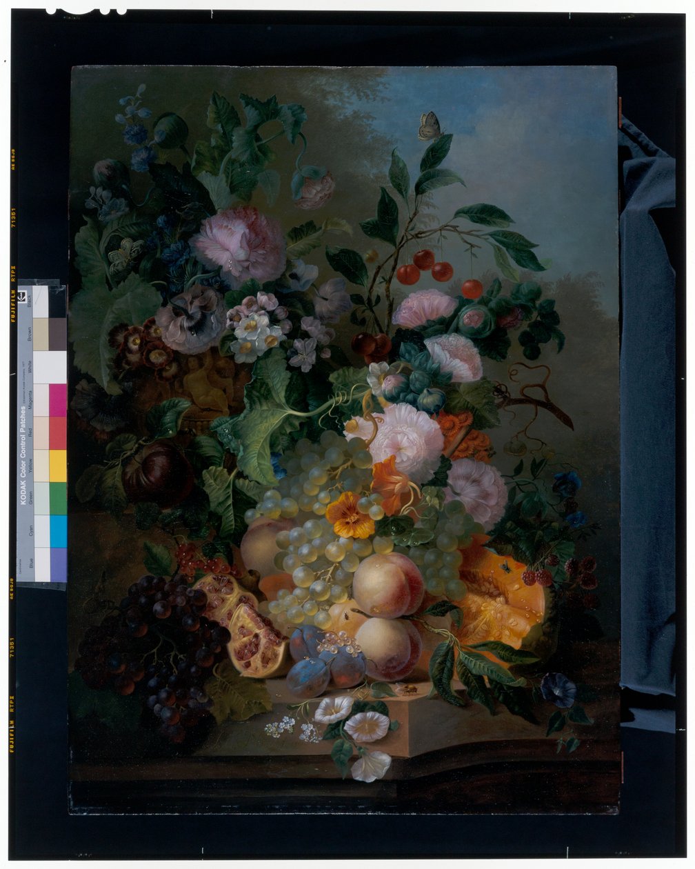 Natureza morta com flores, pêras, uvas, cerejas, um melão e borboletas de Jan Evert Morel