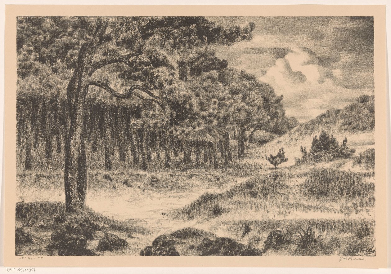Floresta numa paisagem montanhosa de Jan Fekkes (signed by artist)