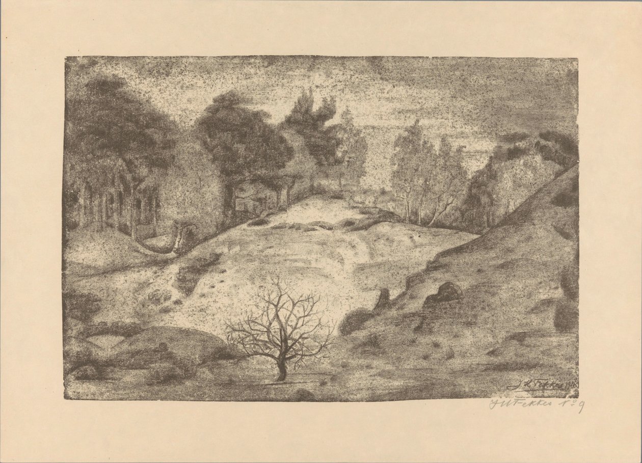 Heath perto de Laren de Jan Fekkes (signed by artist)