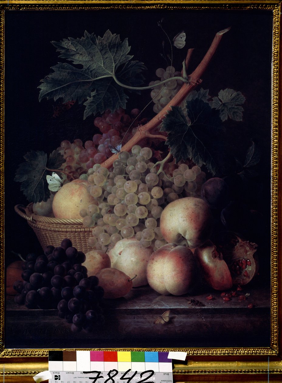 ""Fruits"" Ainda vida de pêssegos, uvas, peras e romãs com borboletas e uma vespa. Pintura de Jean François van Dael (1764-1840) 1808 Museu Pushkin, Moscou de Jan Frans van Dael