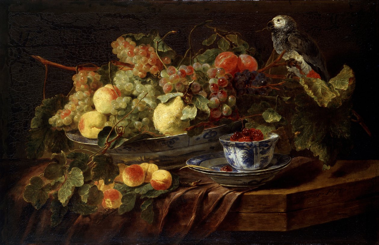 Ainda vida com frutas e papagaio, 1645. de Jan Fyt