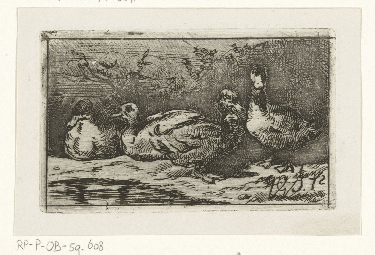 Quatro patos na beira-mar de Jan Gerard Smits