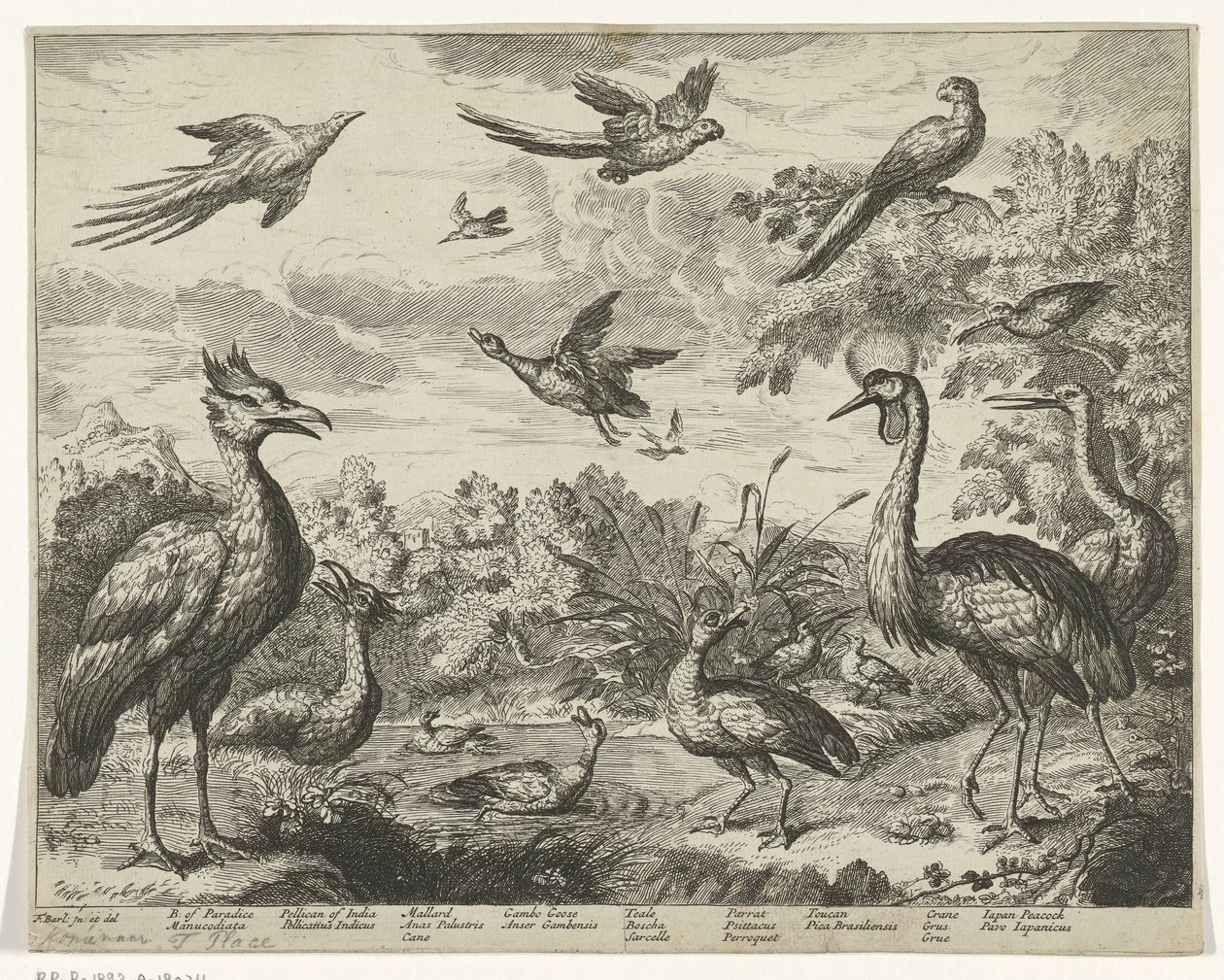 Aves diferentes numa paisagem de Jan Griffier (I) (copy after)