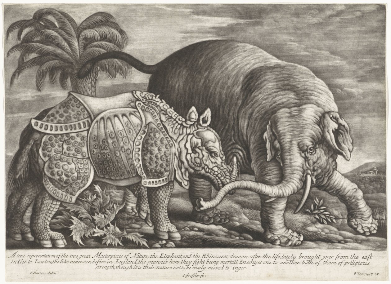 Olifant em Neushoorn Uma verdadeira representação das duas grandes Obras-Primas da Natureza, o Elefante e o Rinoceronte (título no objeto) de Jan Griffier (I)