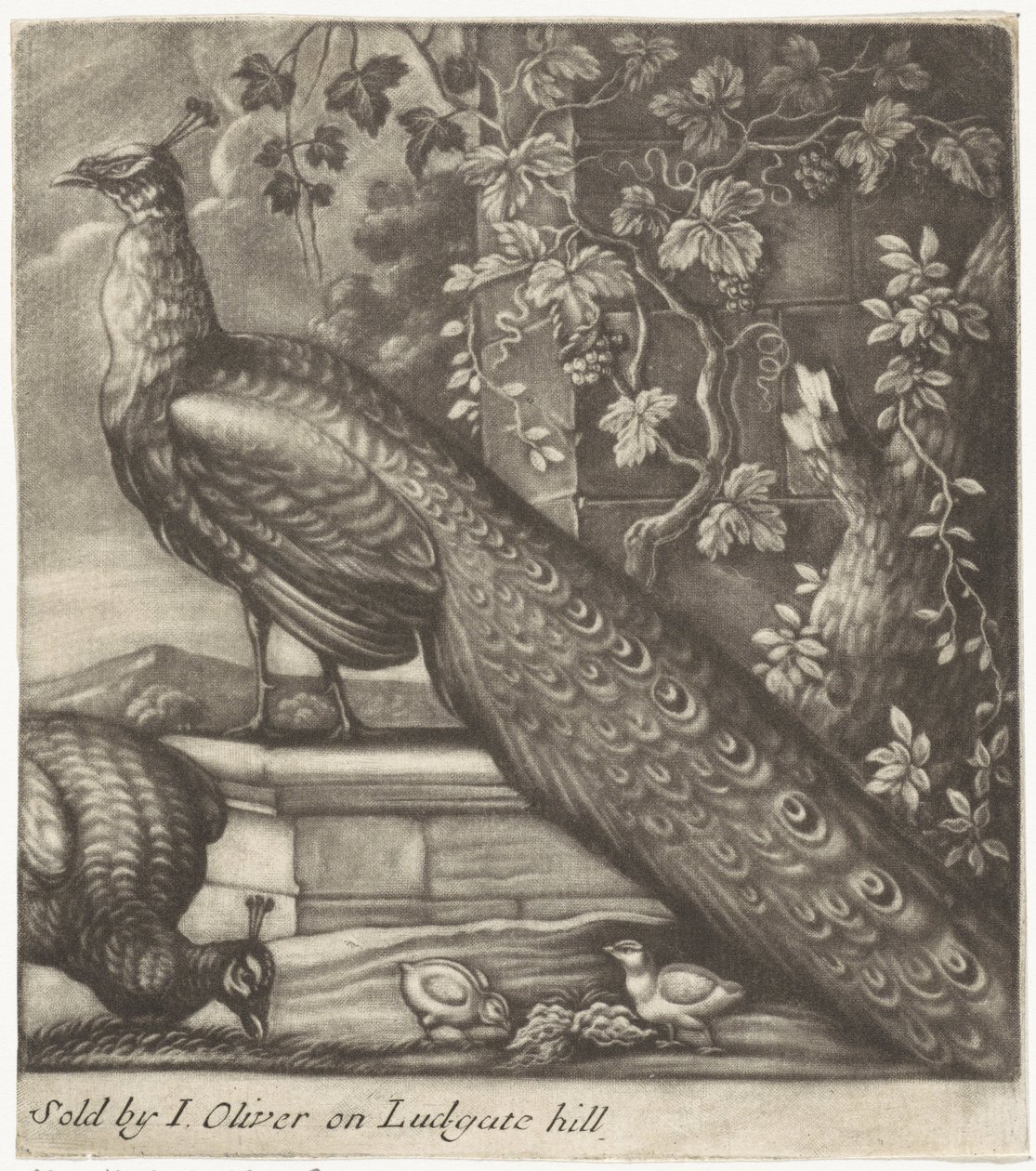 Pavões de Jan Griffier (I)