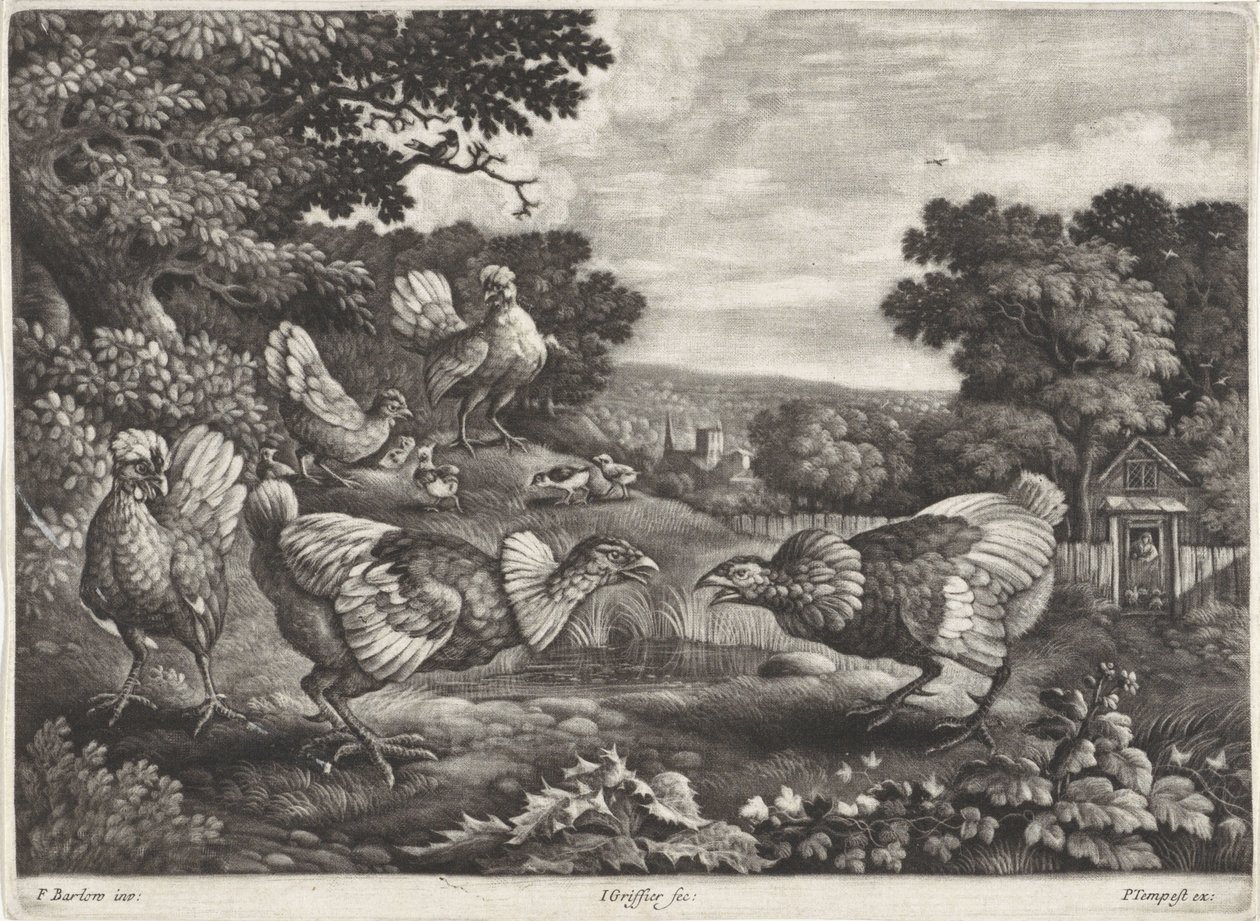 galinhas de briga de Jan Griffier (I)
